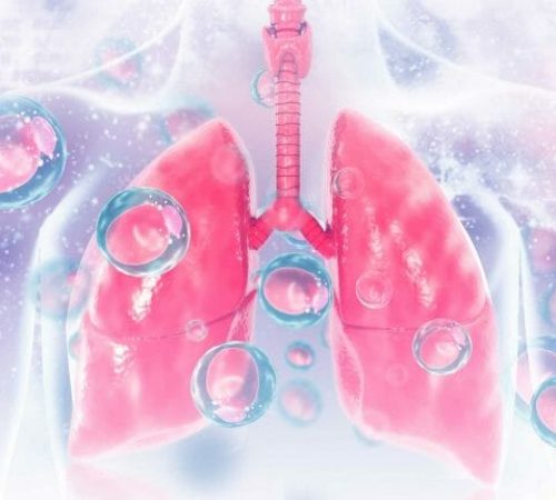 lung3